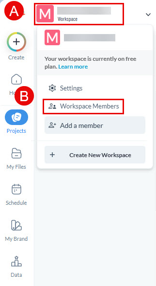 Visme Workspace tab opened with Workspace Members button highlighted