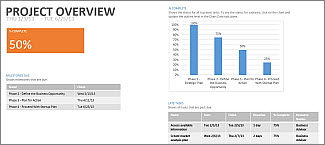 Create a Project Report