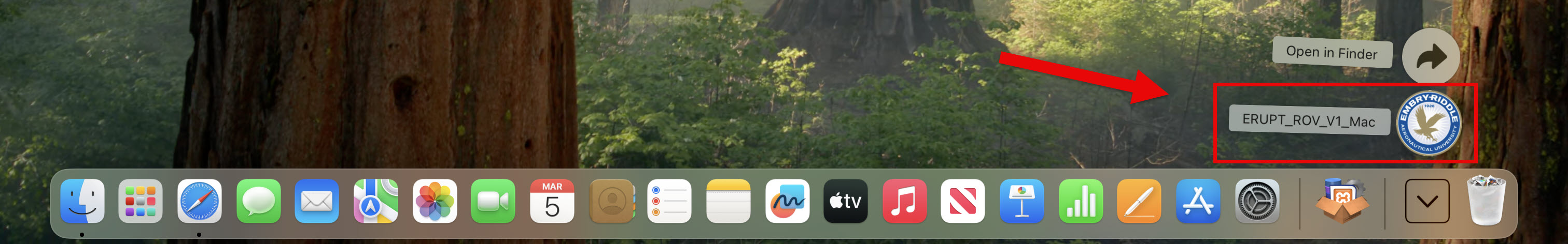 MAC toolbar showing downloaded ERUPT file icon