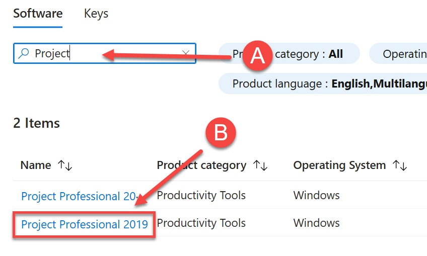 Search box outlined and arrowed lettered A then Project Professional 2019 outlined and arrowed lettered B