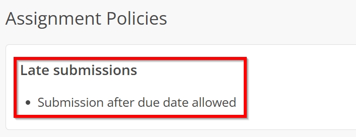 Additional assignment specific policies outline