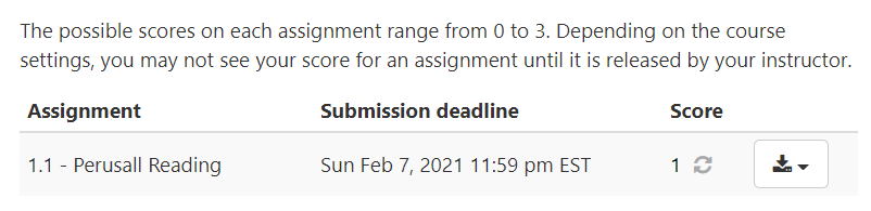 Student scores on assignments from a student view