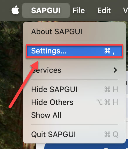 SAPGUI Dropdown with Preferences option highlighted