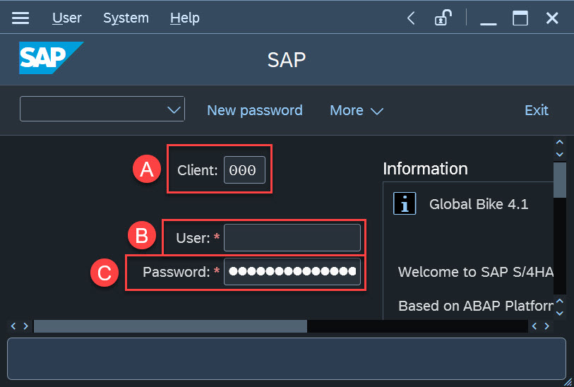 SAP Server Login Page with Client, User, and Password inputs highlighted