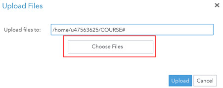 SAS Upload Files window with Choose Files button highlighted