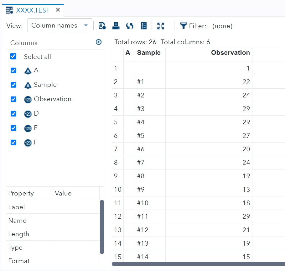 SAS Data Viewer screen with excel data displayed