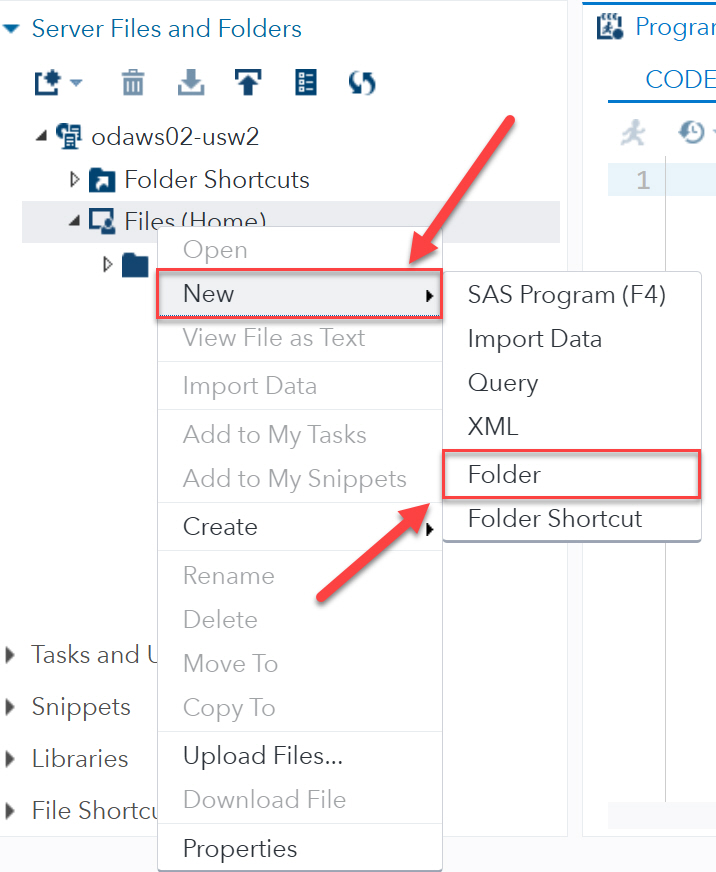 SAS Right click dropdown with New > Folder highlighted