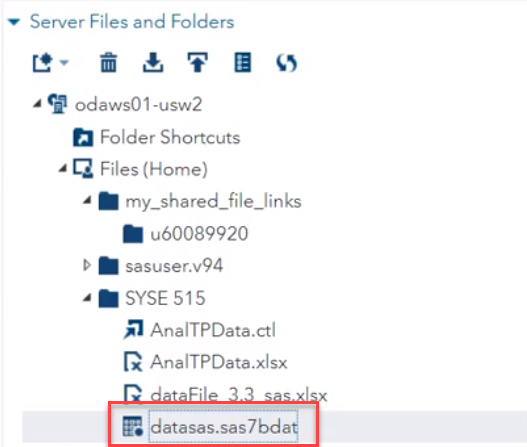 SAS Directory with data file highlighted