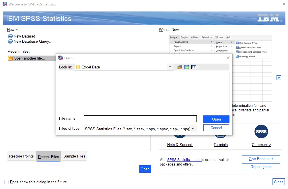 IBM SPSS Open File page