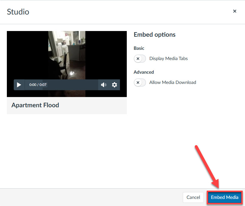 Studio video window with Embed highlighted for selection