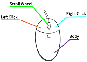 Diagram showing the parts of a computer mouse