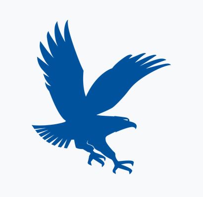 ERAU Eagle