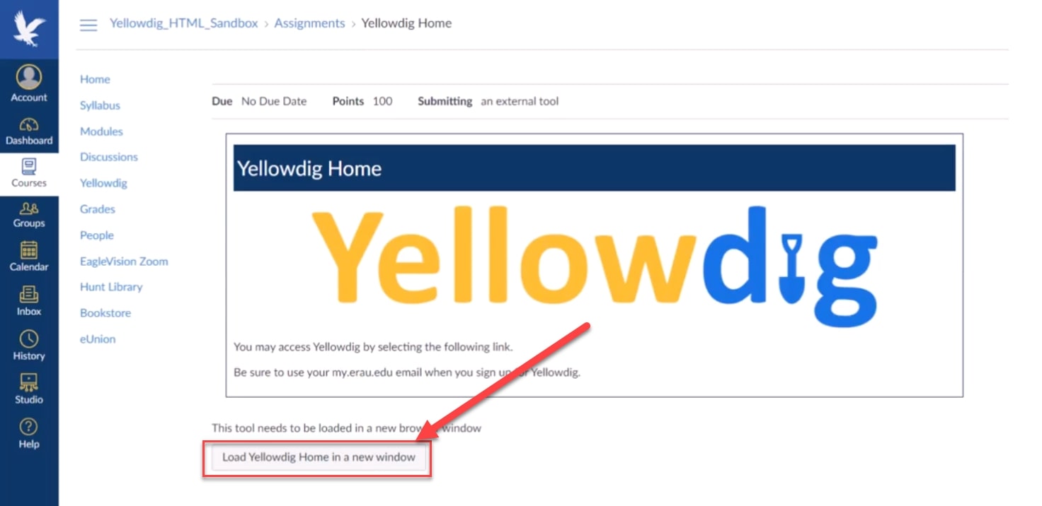 Load Yellowdig Home in a new window outlined and arrowed to in canvas asignment