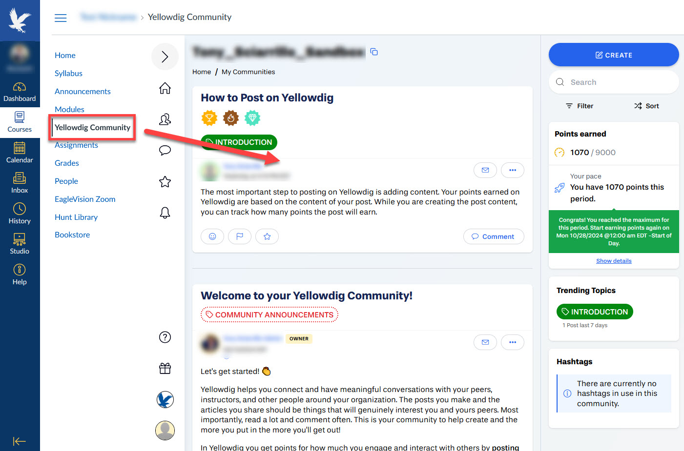 Example of a Yellowdig Community home page with an auto-generated account