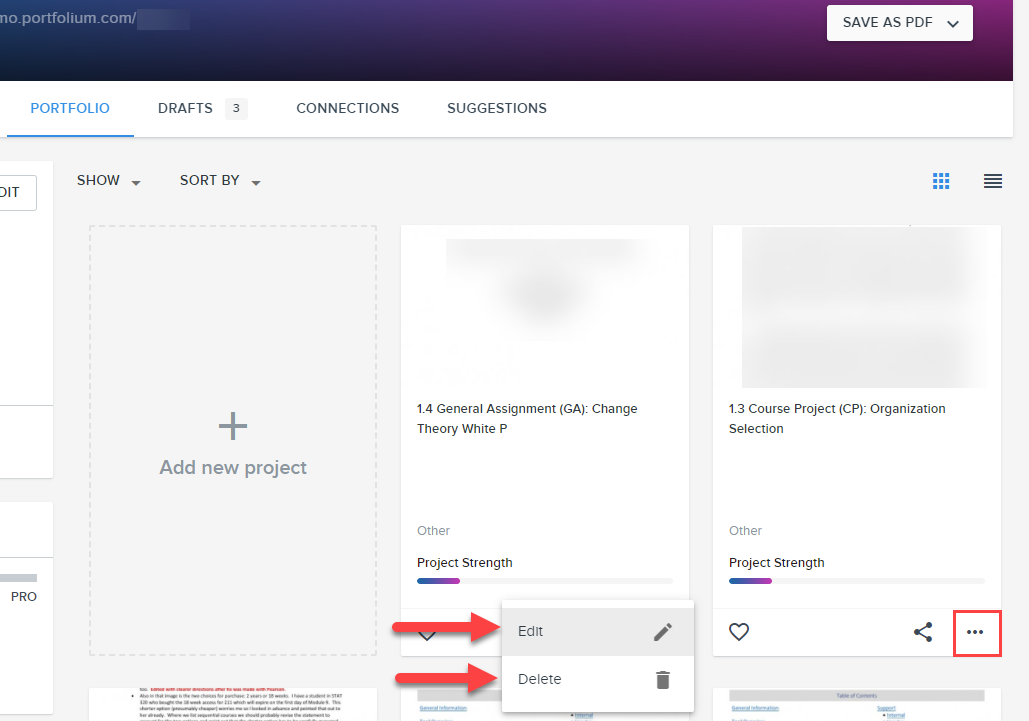 Edit or delete a project from the Portfolio tab
