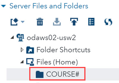 Files (Home) option in SAS