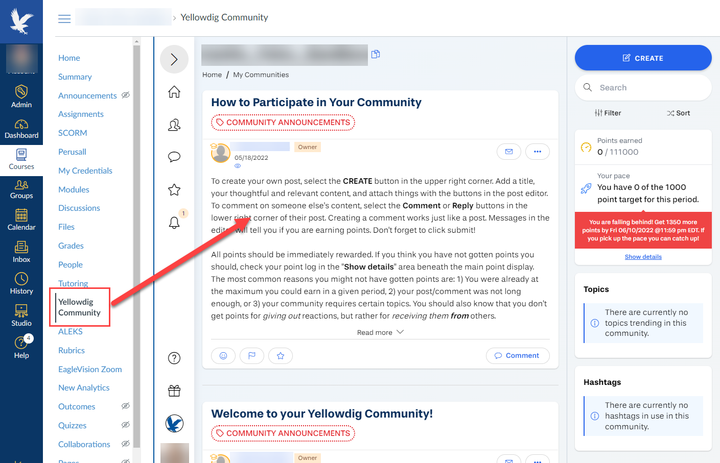 Example of Yellowdig Community